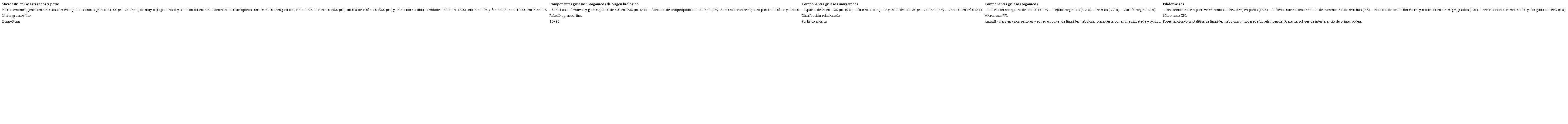 Resumen de caracter�sticas micromorfol�gicas en el suelo del corte