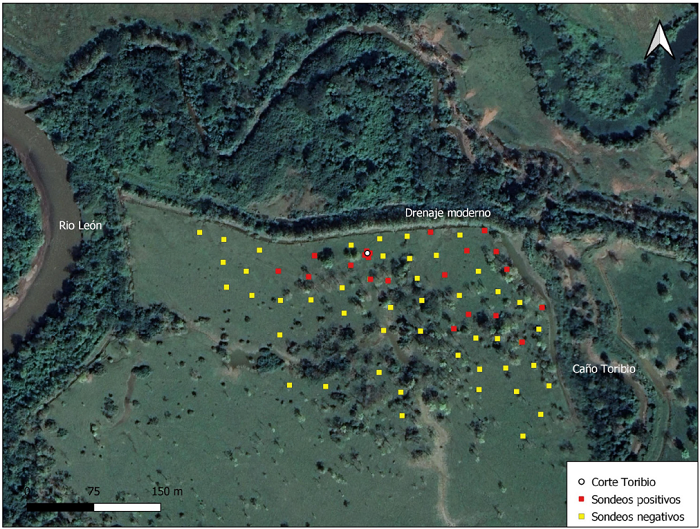 Mapa de distribuci�n de los muestreos en el sitio Toribio