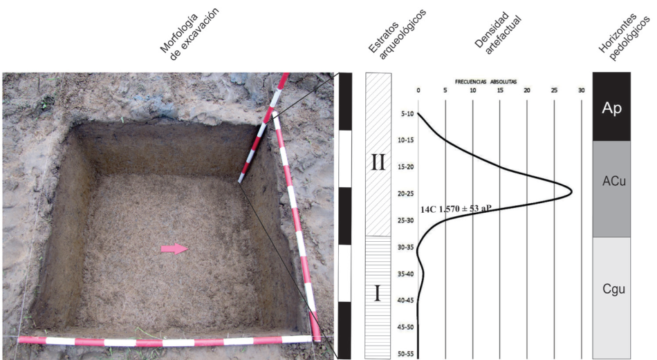Estratigraf�a del perfil de excavaci�n del sitio Toribio