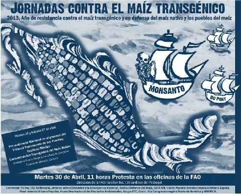 Jornadas contra el maíz transgénico