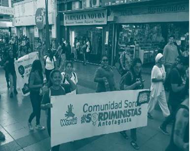 &bull; Marcha de la comunidadsordiminista, Antofagasta (Chile), 2019 | Tomada de: Wen&uuml;i Antofagasta