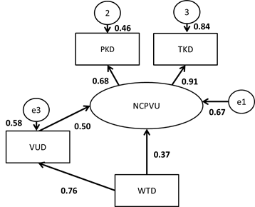 Graphic representation of the theoretical model of the knowledge of the domain of NCPVU.