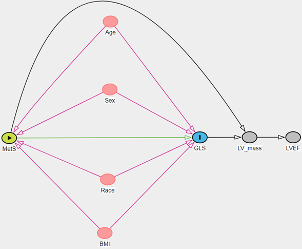 Direct acyclic graph to represent the relationship between metabolic syndrome and global longitudinal strain. Exposure variable: metabolic syndrome (MetS); outcome variable: global longitudinal strain (GLS); confounder variables: age, sex, race, and body mass index (BMI); collider variable: left ventricular mass (LV mass); other variable: left ventricular ejection fraction (LVEF).