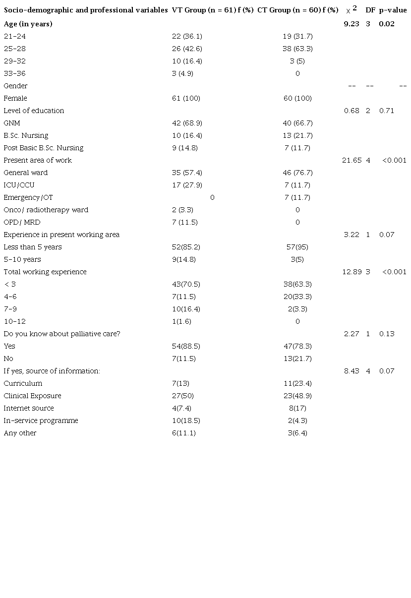 Comparison of VT group and CT group in terms of socio-demographic and professional variables of the nursing personnel regarding palliative care