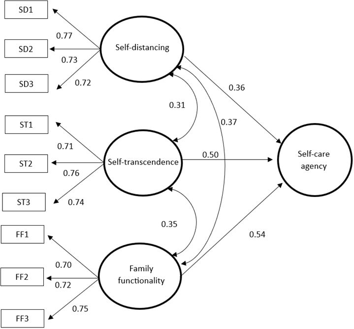 Structural model of the effect of self-distancing, self-transcendence, and family functionality on self-care agency