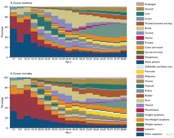 Age-specific contributions of cancer types to total cancer incidence and mortality, both sexes. Mexico, 2013
