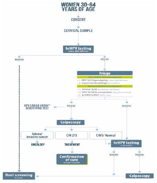Overview of study design for the primary objective. FRIDA Study,* Tlaxcala, Mexico, 2013-onwards