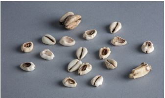 &ndash; Jogo adivinhat&oacute;rio nigeriano de dezesseis b&uacute;zios das Ilhas Maldivas, um par de b&uacute;zios amarrados e um dente de bode. Arquivo do autor.