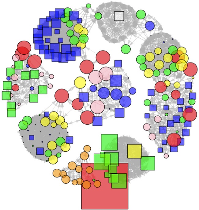 Representação das Redes Egocentradas dos Agentes Prisionais Entrevistados