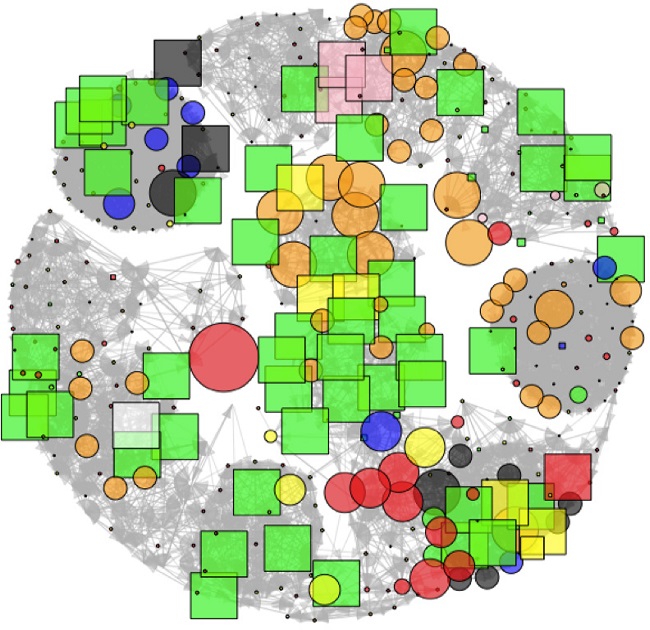 Representação das Redes Egocentradas dos Presos Entrevistados