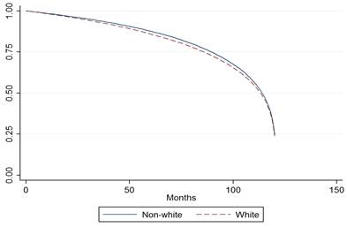 Kaplan-meier survival estimates by ethnicity