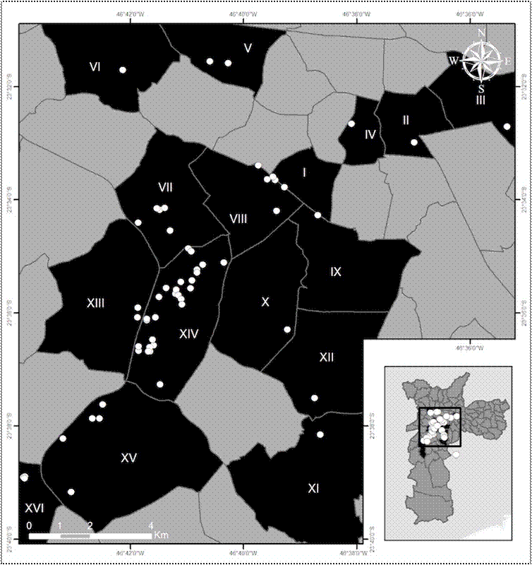 Inmuebles comerciales en manos de fondos de inversi&oacute;n inmobiliaria en S&atilde;o Paulo (Brasil)(2013)* 