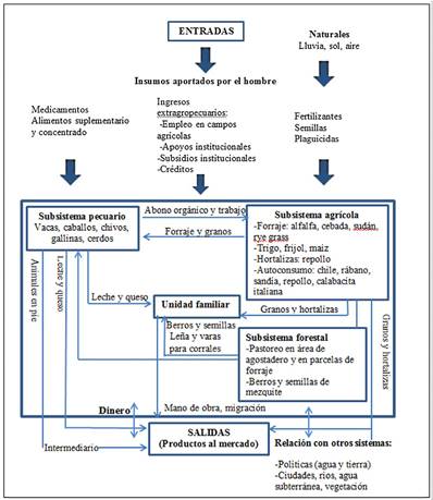 Diagrama del agroecosistema. Interacciones e interrelaciones entre subsistemas.