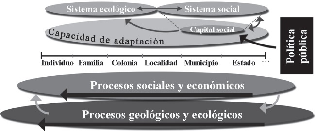 Esquema de la integración de los conceptos de capacidad de adaptación y su relación con las dimensiones ecológica y social bajo una política pública
