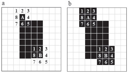 Ret&iacute;cula con mancha en el centro