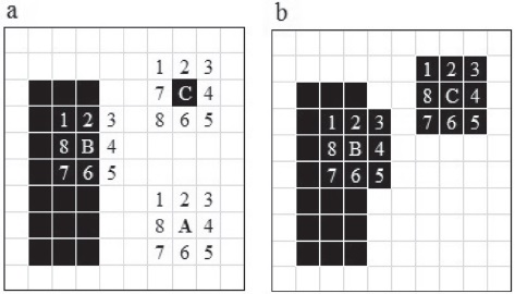 Ret&iacute;cula con dos manchas de diferente tama&ntilde;o