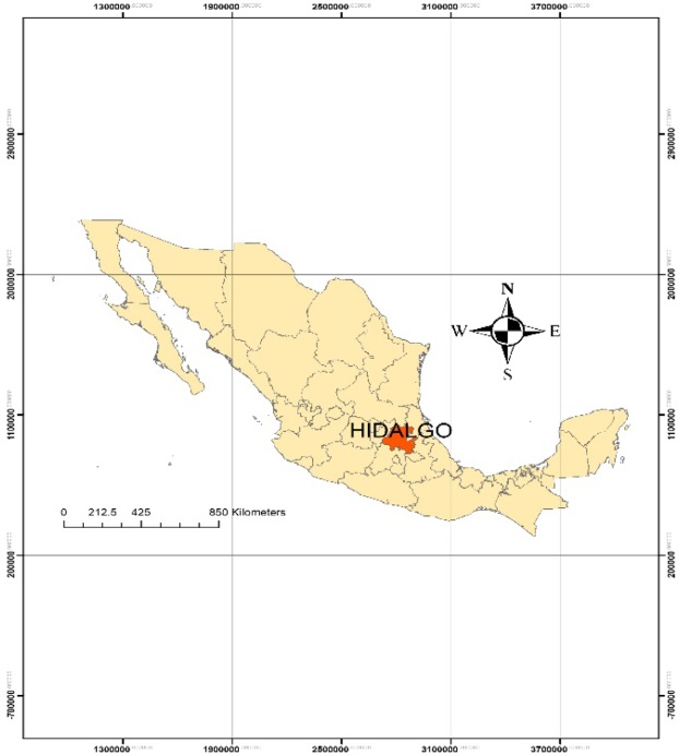 Contexto específico del estudio (estado de Hidalgo, México)