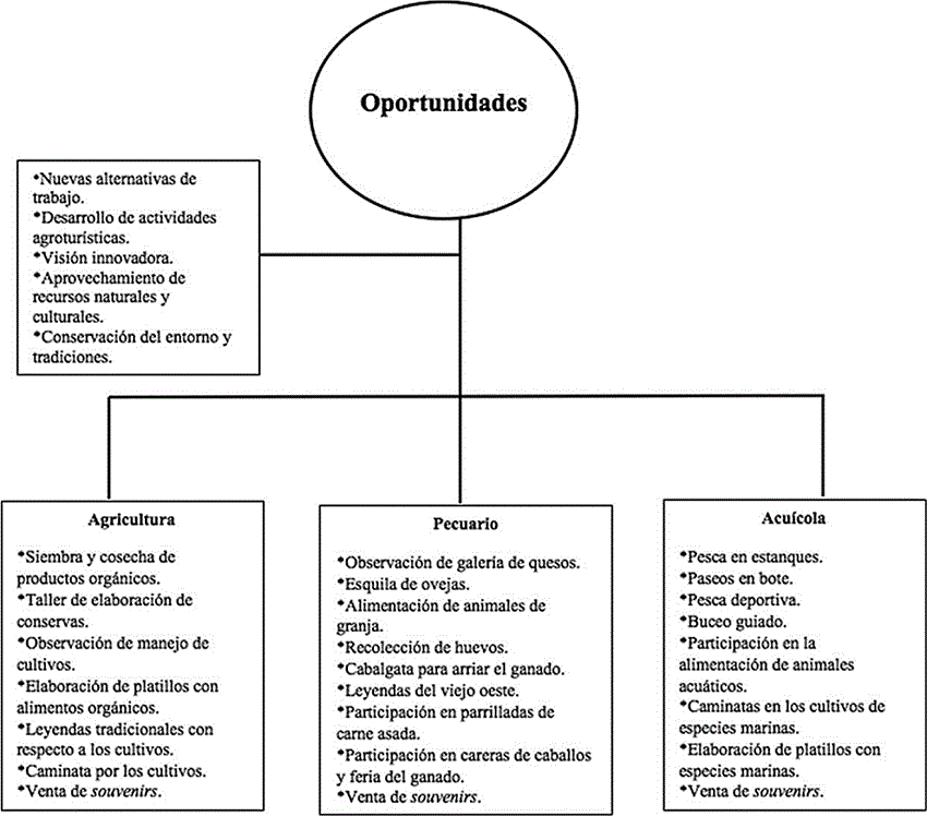 Actividades del agroturismo que se proponen para el Valle de San Quintín