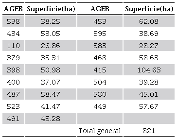 &Aacute;reas Geoestad&iacute;sticas B&aacute;sicas (AGEB) presentes en el CTN