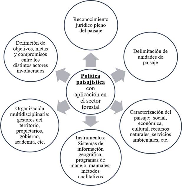 Requerimientos para la implementación del enfoque de paisaje en el sector forestal