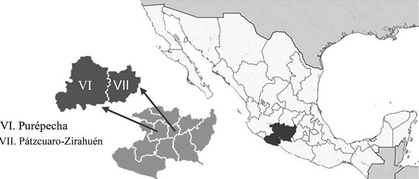 Regiones geográficas VI y VII de Michoacán de Ocampo, México