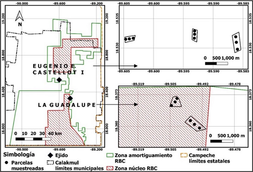 Localización de los ejidos y parcelas de muestreo dentro de la RBC