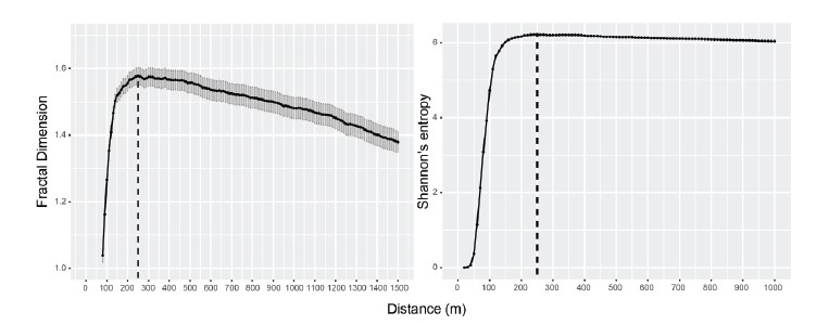 Fractal dimension and Shannon&rsquo;s entropy