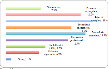 Nivel de estudios alcanzados
