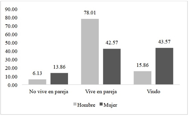 Distribuci&oacute;n porcentual por grupos de edad de la poblaci&oacute;nde 60 a&ntilde;os o m&aacute;s
