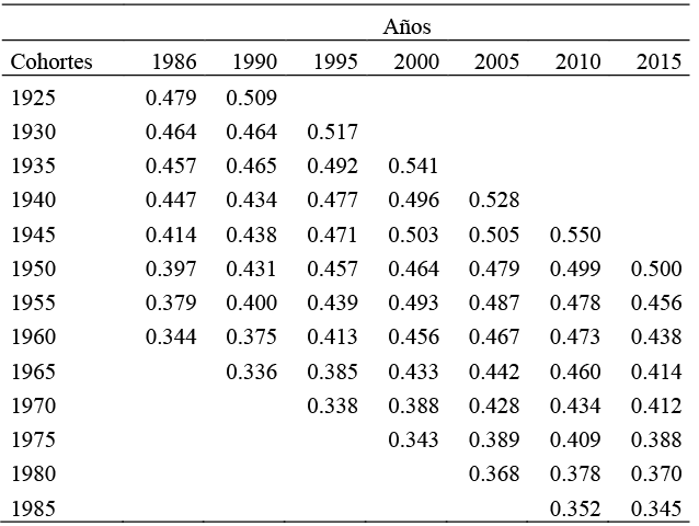 Evolucin del ndice de Gini por cohortes a lo largo del tiempo