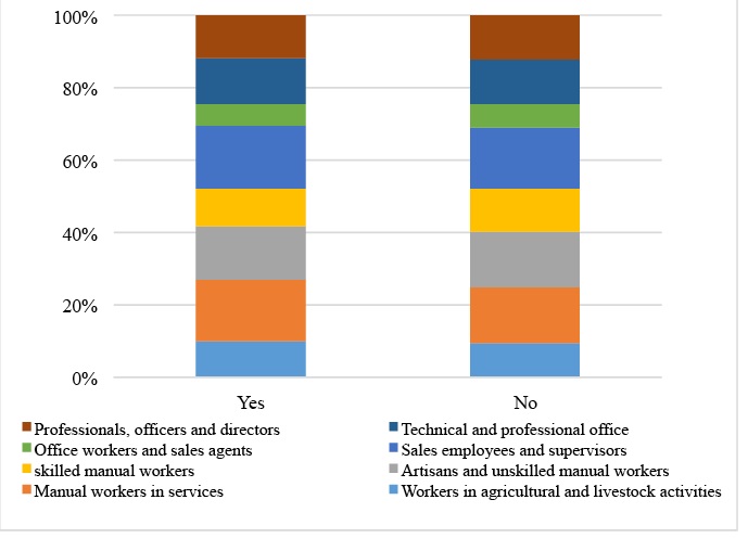 Occupational Attainment by Afro-Descendant Status, Ages 24 to 64,Mexico, 2015