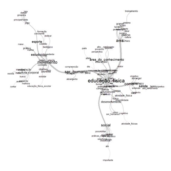 Categorias e subcategorias das concep&ccedil;&otilde;es de Educa&ccedil;&atilde;o F&iacute;sica. Fonte: Dados da pesquisa