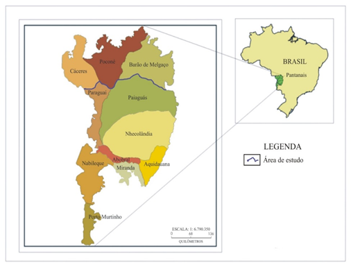 Figura 1: Pantanal, sub-regiões internas.