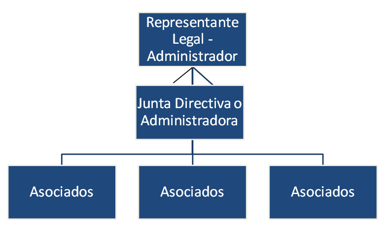 Sucre: organigrama de las asociaciones productoras de aguacate