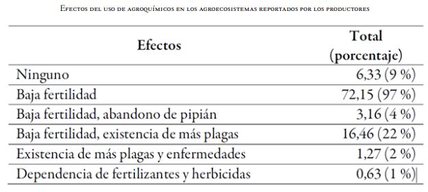 Efectos del uso de agroqu&iacute;micos en los agroecosistemas reportados por los productores