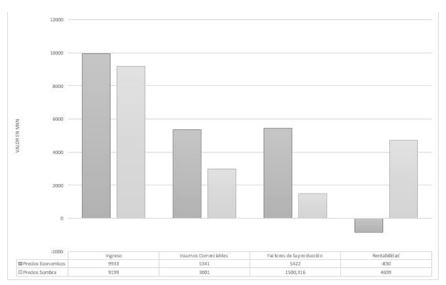 Distribuci&oacute;n del ingreso y gastos a precios econ&oacute;micos y sociales