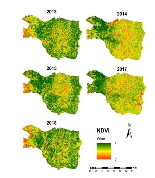 Mapas multitemporal NDVI