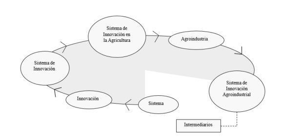 Desarrollo del marco conceptual