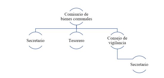 Organización interna de Llano Frío