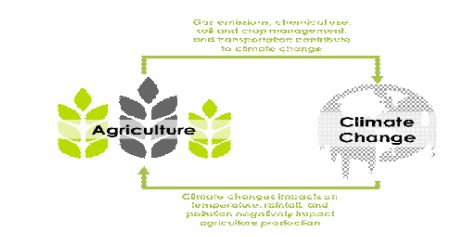 Agriculture and climate change