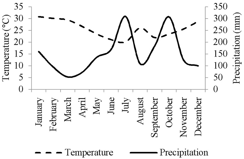 Climatic data of average maximum temperature (&deg;C) and total precipitation (mm) in 2015 obtained from the station of the City of Porto Alegre, RS, Brazil.