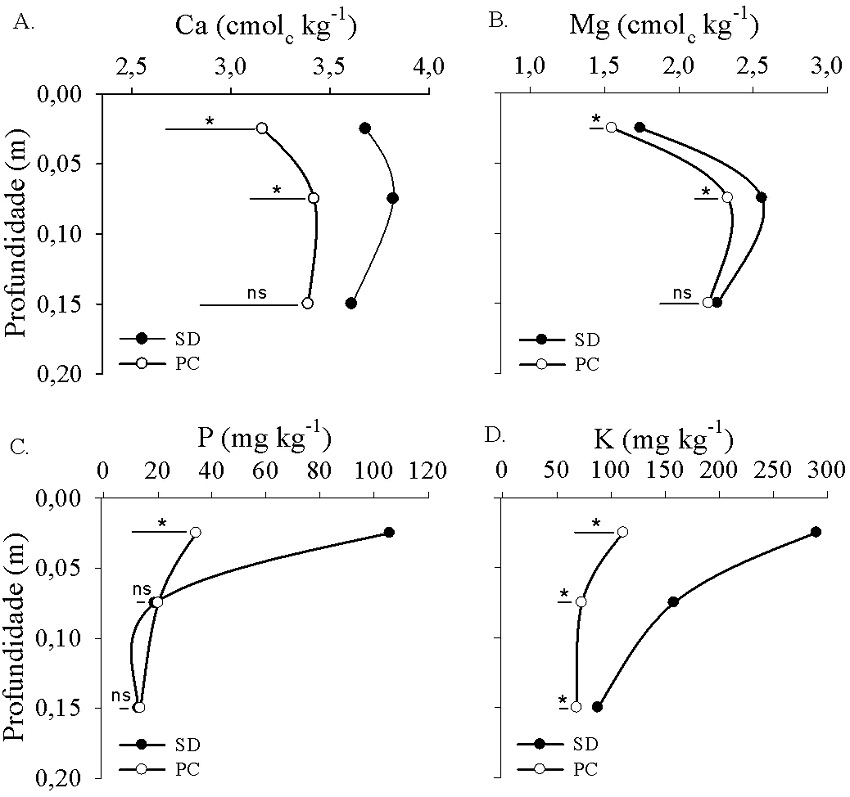Teores de Ca (A), Mg (B), P (C) e K (D) nos diferentes manejos em três camadas de solo, em Cambissolo Húmico. SD: semeadura direta; PC: preparo convencional. Os pontos representam a média dos tratamentos e as barras horizontais representam a diferença mínima significativa das médias em cada camada de solo pelo teste Tukey (p = 0,05). * significativo (p < 0,05) e ns não significativo por Tukey (p ≥ 0,05). Efeito de cultura e interação entre cultura e manejo não significativo por análise de variância (p ≥ 0,05).