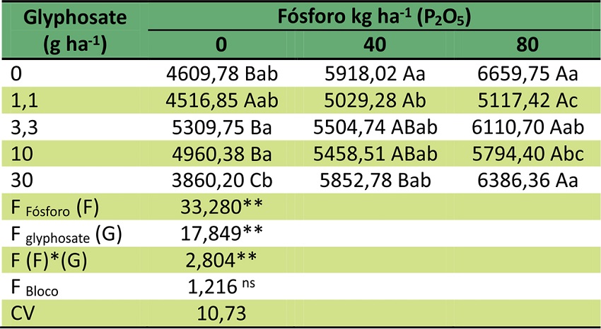 M&eacute;dias da &aacute;rea foliar (cm-2) de plantas de pinh&atilde;o manso submetidas a diferentes n&iacute;veis de f&oacute;sforo e doses de simula&ccedil;&atilde;o de deriva de glyphosate aos 56 dias ap&oacute;s a aplica&ccedil;&atilde;o.