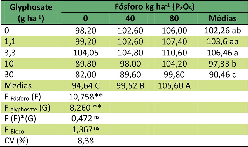 M&eacute;dias da mat&eacute;ria seca total (g) de plantas de pinh&atilde;o manso submetidas a diferentes doses de f&oacute;sforo e simula&ccedil;&atilde;o de deriva de glyphosate aos 56 dias ap&oacute;s a aplica&ccedil;&atilde;o.