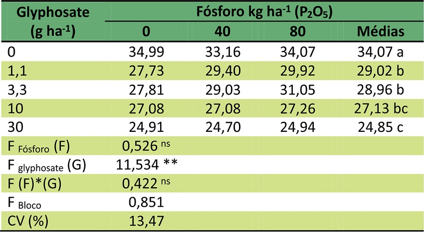 Conte&uacute;do de celulose (%) em folhas de plantas de pinh&atilde;o manso 56 dias ap&oacute;s a simula&ccedil;&atilde;o de deriva com glyphosate.