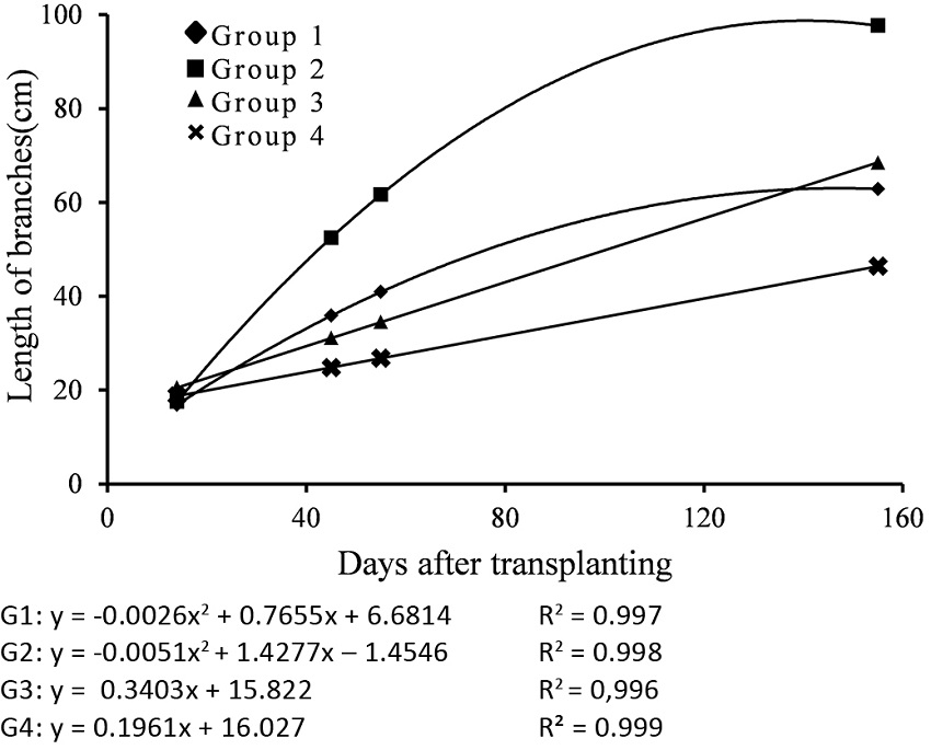 Grouping curves by Tocher&rsquo;s test for the growth of branches in three sweet potato genotypes, subjected to five weed control types on assessments at 14, 45, 55 and 145 days after transplanting. G1: mechanical control, metribuzin and no control for all plants; linuron for UFVJM21 and UFVJM31. G2: clomazone for UFVJM21 and UFVJM31. G3: clomazone for UFVJM27. G4: linuron for UFVJM27.