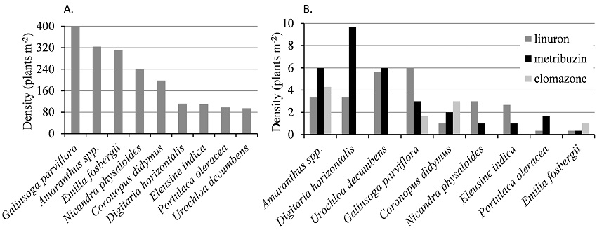 Weed density in sweet potato cropping area at 55 days after transplanting: (A) Without herbicides. (B) With pre-emergent herbicides.