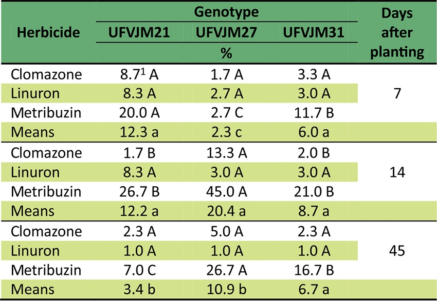 Visual injury in three sweet potatoes genotypes after cultivation in soil treated with three pre-emergent herbicides and evaluated in three periods.