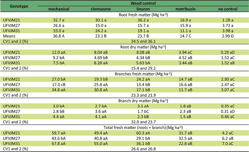 Yield of three sweet potatoes genotypes submitted to five weed control methods and harvested after 180 days. 