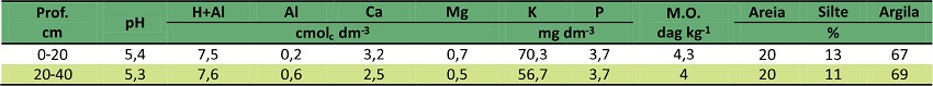 Caracter&iacute;sticas qu&iacute;micas e f&iacute;sicas do solo nas profundidades de 0-20 e 20-40 cm, EPAMIG 2008.
